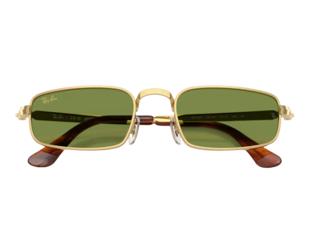 Ray-Ban ASAP Rocky RB3927 Sunglasses
