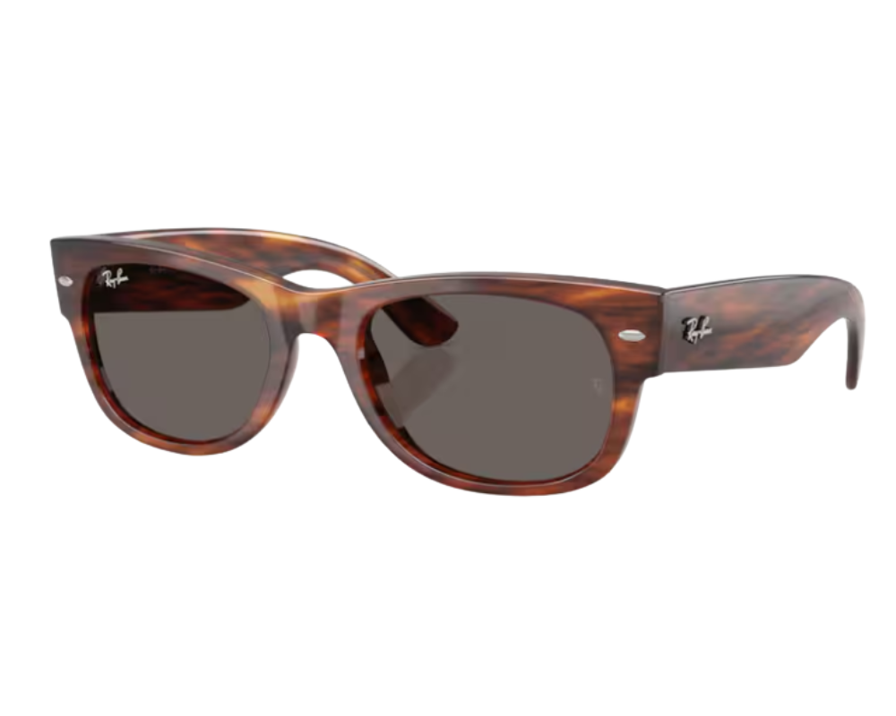 Ray-Ban Mega Wayfarer II RB0832S Sunglasses