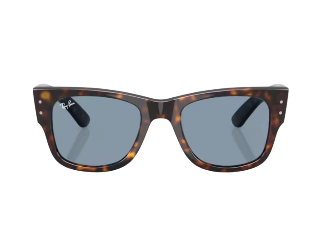 Ray-Ban Mega Wayfarer RB0840S Sunglasses