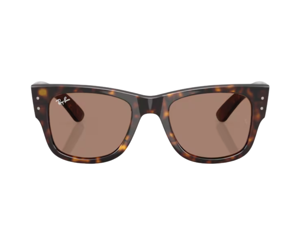 Ray-Ban Mega Wayfarer RB0840S Sunglasses