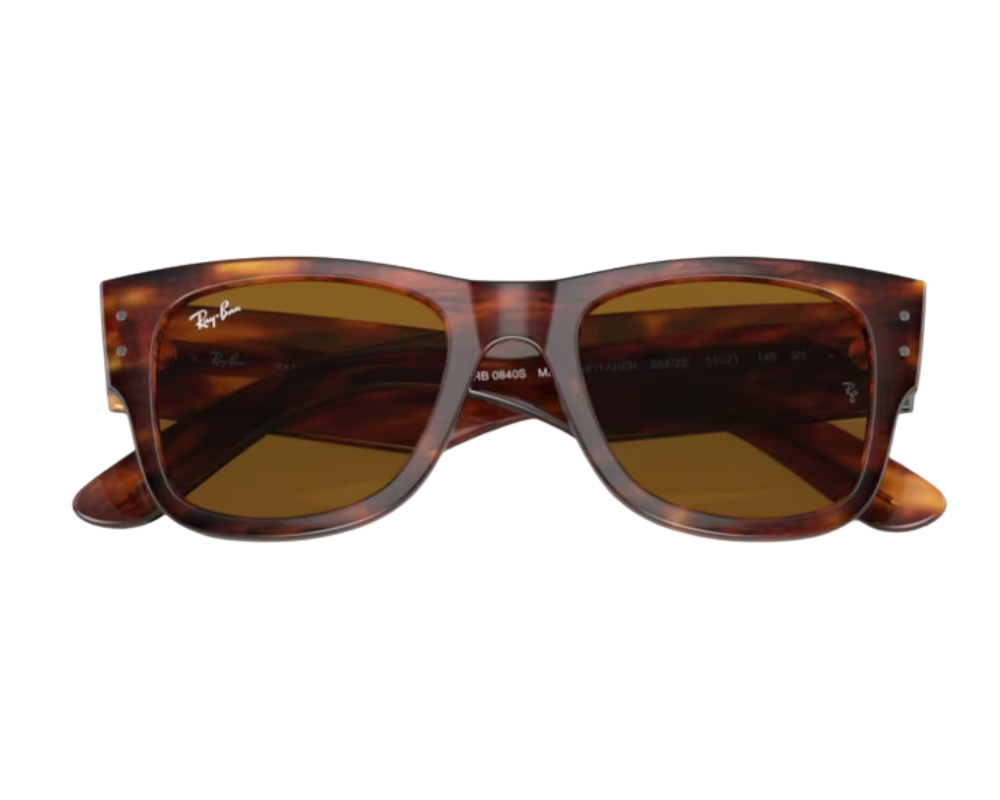 Ray-Ban Mega Wayfarer RB0840S Sunglasses
