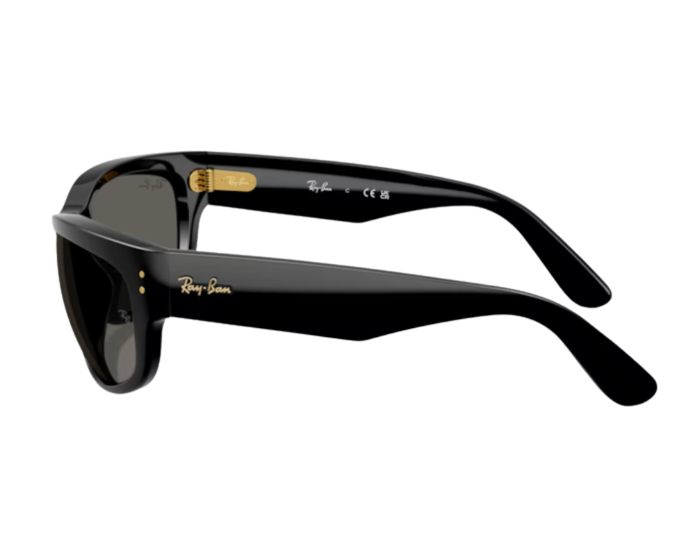 Ray-Ban Mega Balorama RB2289 Sunglasses