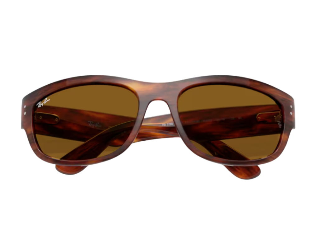Ray-Ban Mega Balorama RB2289 Sunglasses