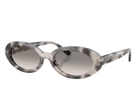 Ray-Ban RB2223 Sunglasses