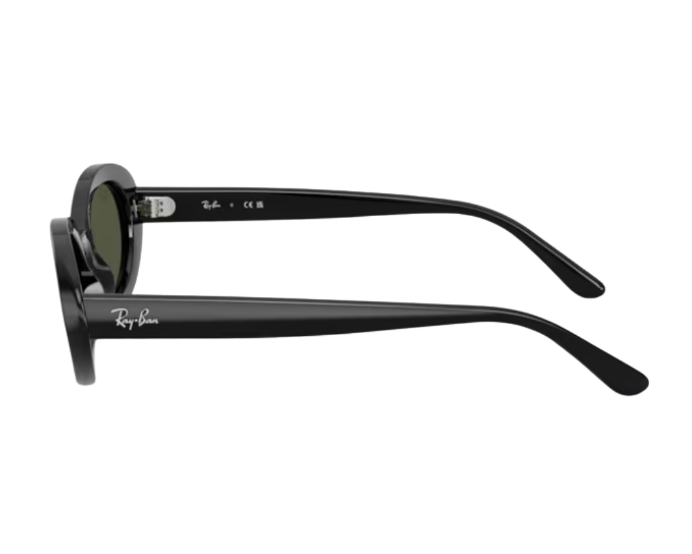 Ray-Ban RB2223 Sunglasses