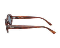 Ray-Ban RB2223 Sunglasses