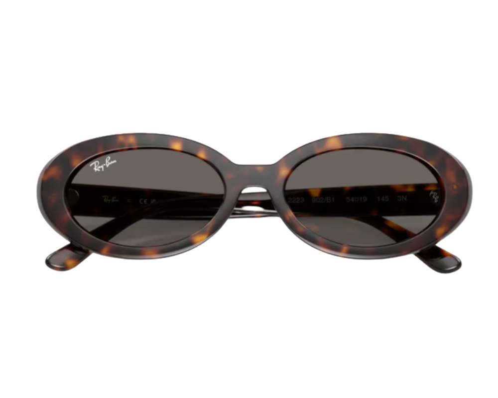 Ray-Ban RB2223 Sunglasses