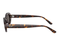 Ray-Ban RB2223 Sunglasses