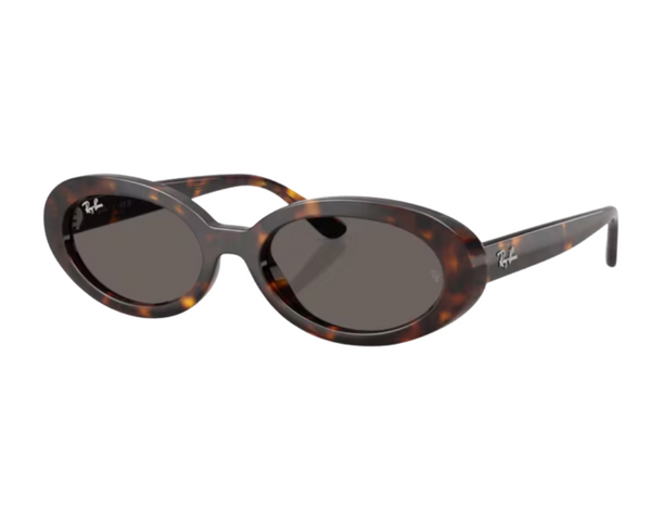 Ray-Ban RB2223 Sunglasses