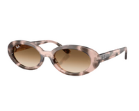 Ray-Ban RB2223 Sunglasses