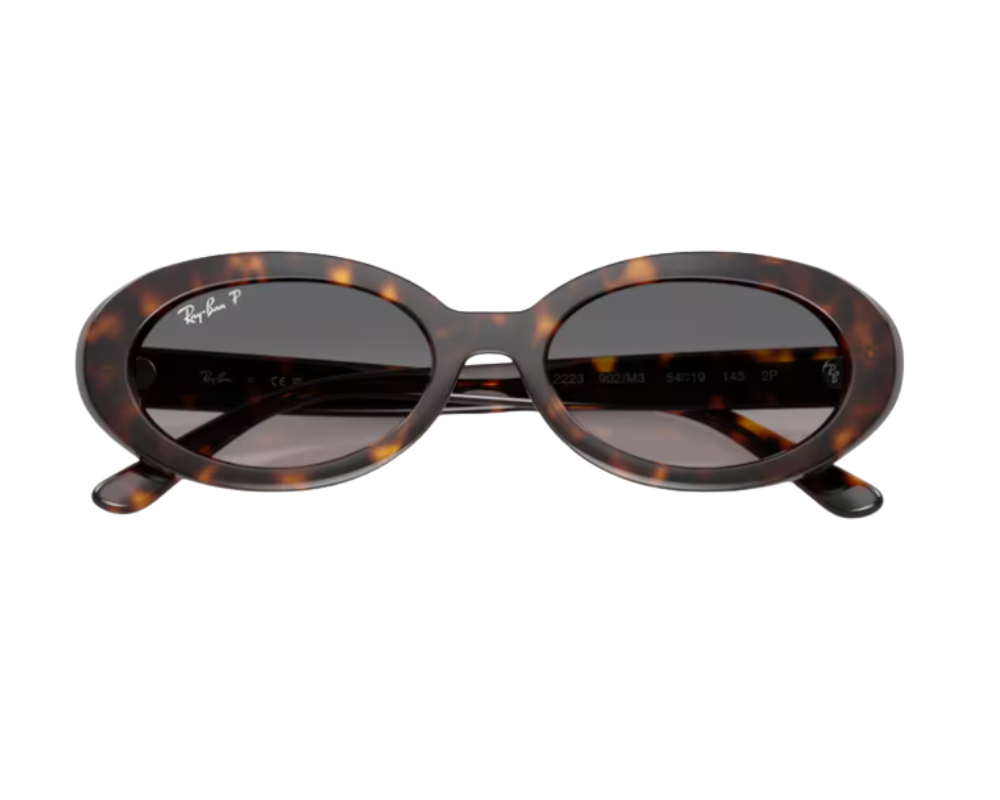 Ray-Ban RB2223 Sunglasses