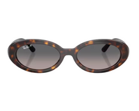 Ray-Ban RB2223 Sunglasses