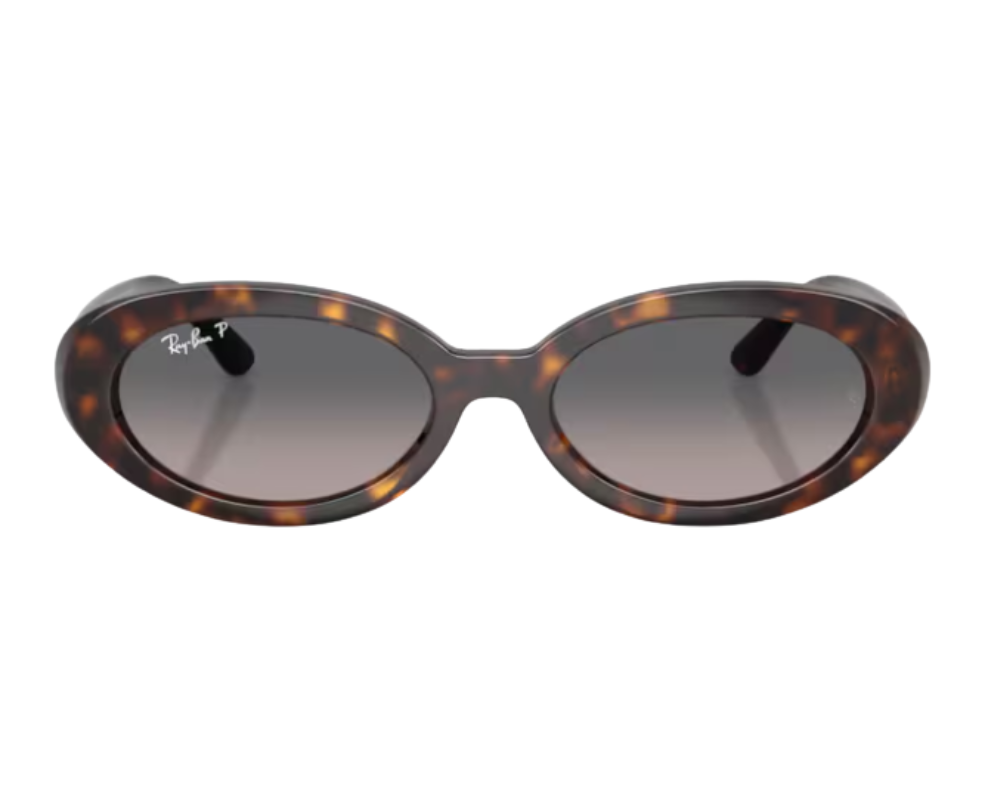 Ray-Ban RB2223 Sunglasses