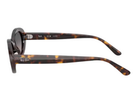 Ray-Ban RB2223 Sunglasses