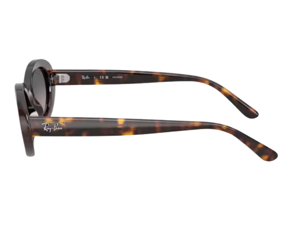 Ray-Ban RB2223 Sunglasses