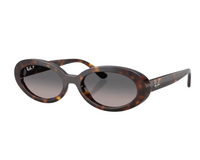 Ray-Ban RB2223 Sunglasses