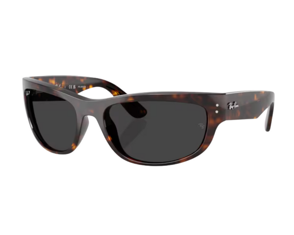 Zonnebrillen Ray-Ban Mega balorama RB2289