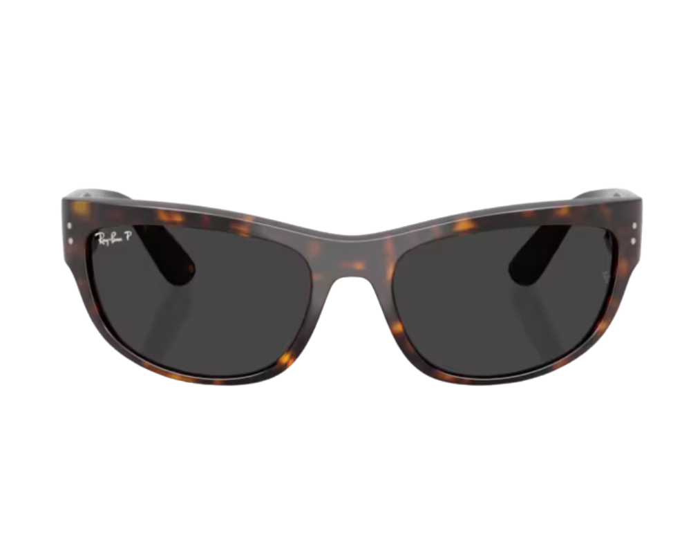 Ray-Ban Mega Balorama RB2289 Sunglasses