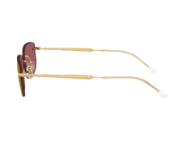 Ray-Ban RB3768 Sunglasses