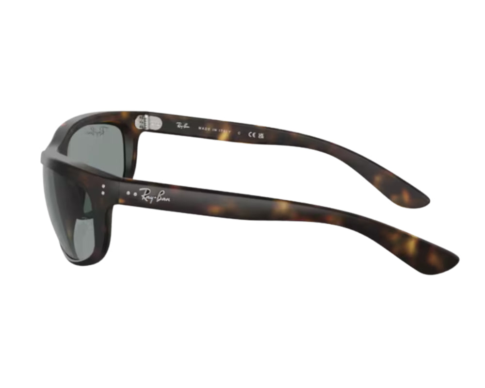 Zonnebrillen Ray-Ban RB4089