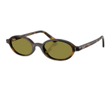 Ray-Ban RB4472 Sunglasses