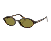 Ray-Ban RB4472 Sunglasses