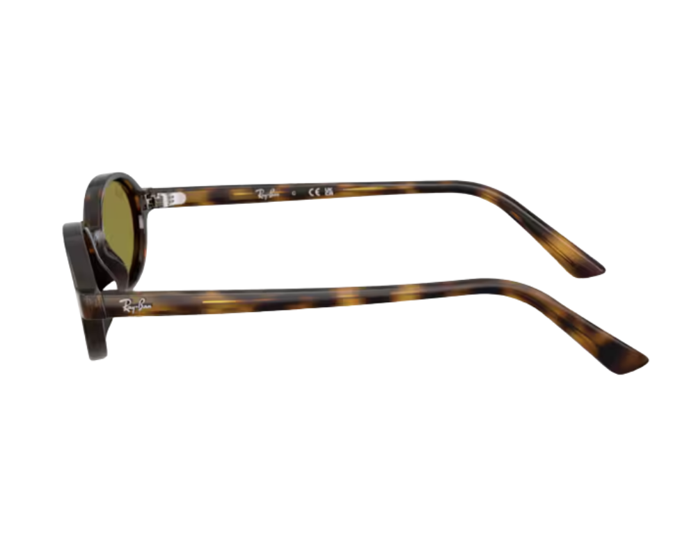 Ray-Ban RB4472 Sunglasses