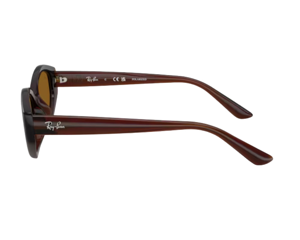 Ray-Ban RB4473D Sunglasses