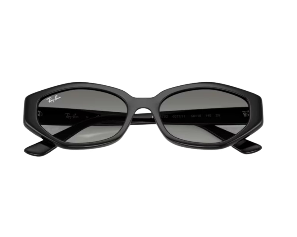 Ray-Ban RB4473D Sunglasses