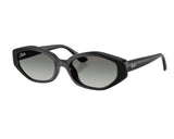 Ray-Ban RB4473D Sunglasses