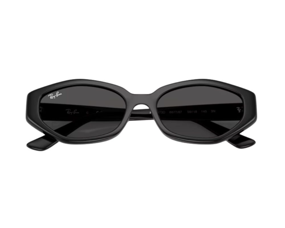Ray-Ban RB4473D Sunglasses