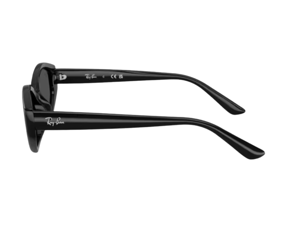 Ray-Ban RB4473D Sunglasses
