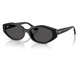 Ray-Ban RB4473D Sunglasses