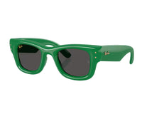 Ray Ban Wayfarer Puffer RB4940 Sunglasses