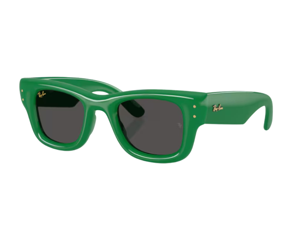 Ray Ban Wayfarer Puffer RB4940 Sunglasses