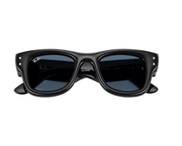 Ray-Ban Wayfarer Puffer RB4940B Sunglasses