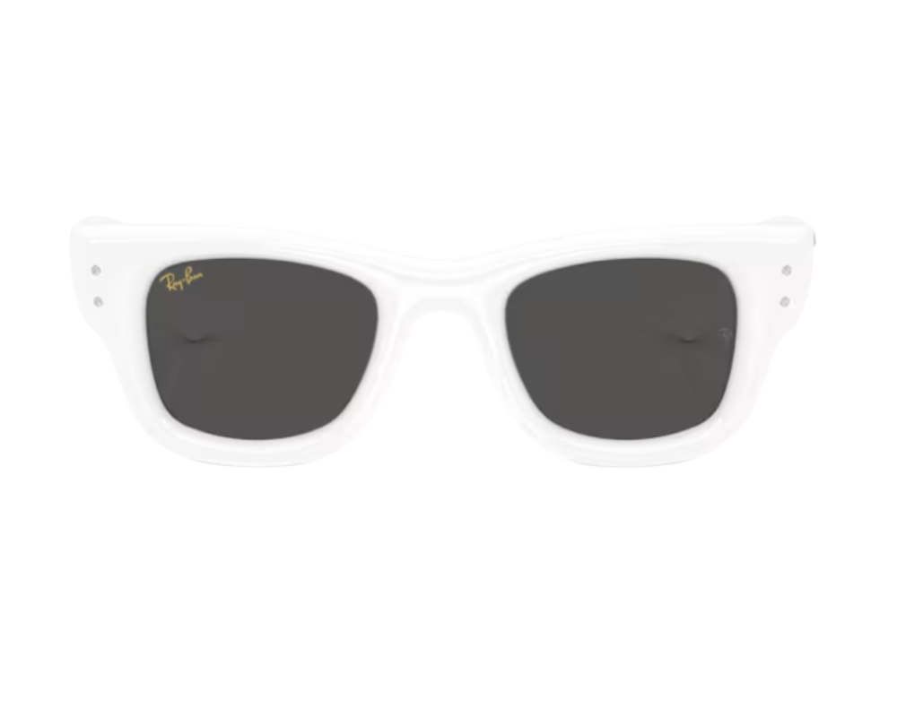 Ray-Ban Wayfarer Puffer RB4940B Sunglasses