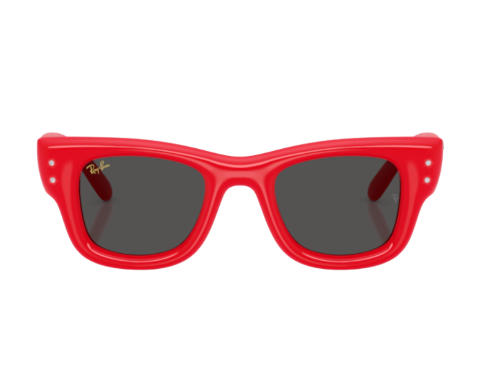 Ray-Ban Wayfarer Puffer RB4940B Sunglasses