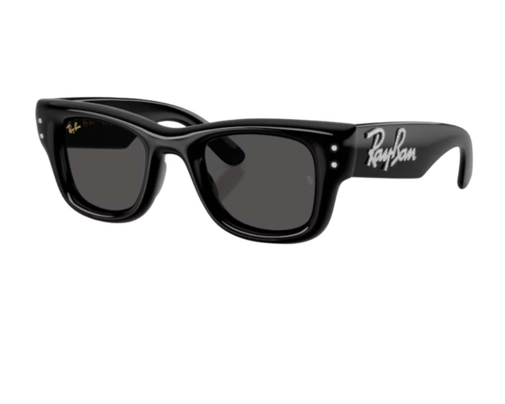Ray-Ban Wayfarer Puffer RB4940B Sunglasses