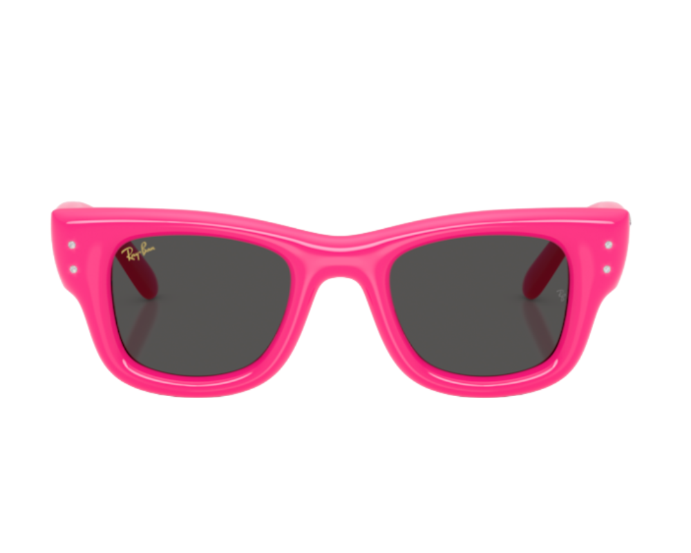 Ray-Ban Wayfarer Puffer RB4940B Sunglasses