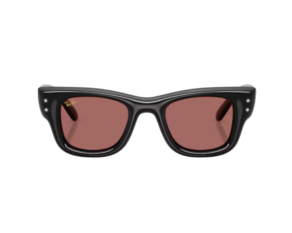 Ray-Ban Wayfarer Puffer RB4940B Sunglasses