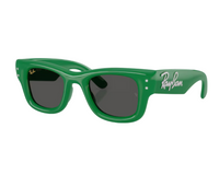 Ray-Ban Wayfarer Puffer RB4940B Sunglasses