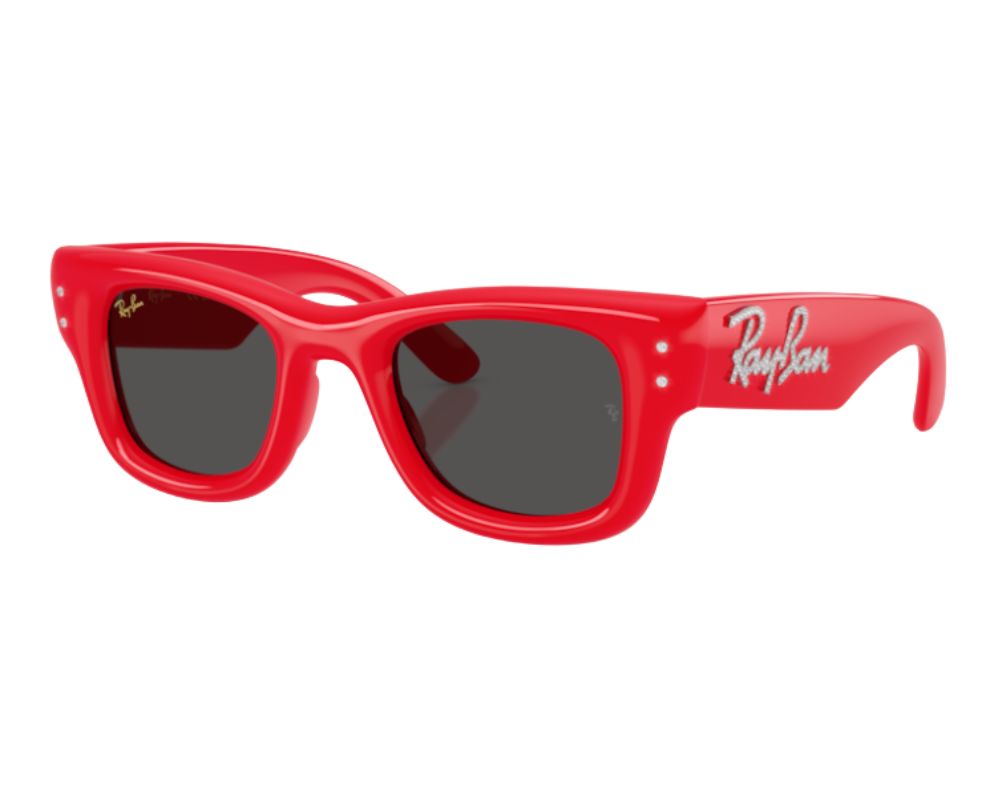 Ray-Ban Wayfarer Puffer RB4940B Sunglasses