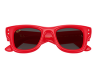 Ray-Ban Wayfarer Puffer RB4940B Sunglasses