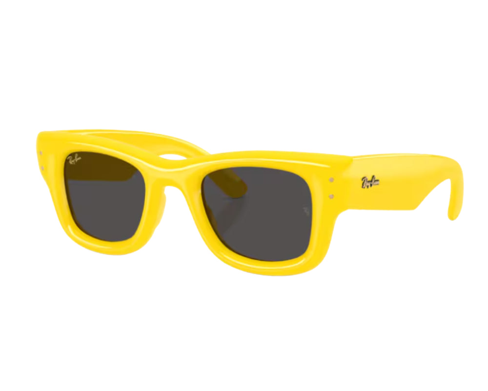 Ray Ban Wayfarer Puffer RB4940 Sunglasses