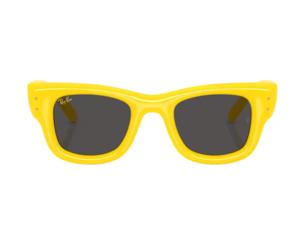 Ray Ban Wayfarer Puffer RB4940 Sunglasses