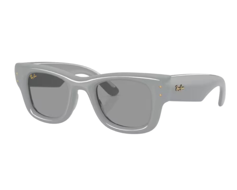 Ray Ban Wayfarer Puffer RB4940 Sunglasses