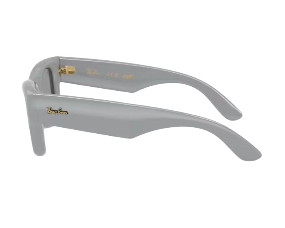 Ray Ban Wayfarer Puffer RB4940 Sunglasses