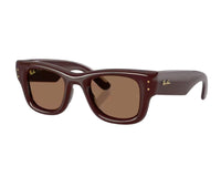Ray Ban Wayfarer Puffer RB4940 Sunglasses