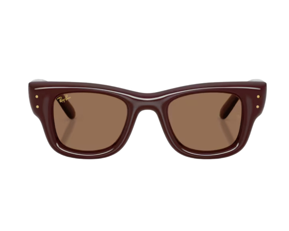Ray Ban Wayfarer Puffer RB4940 Sunglasses